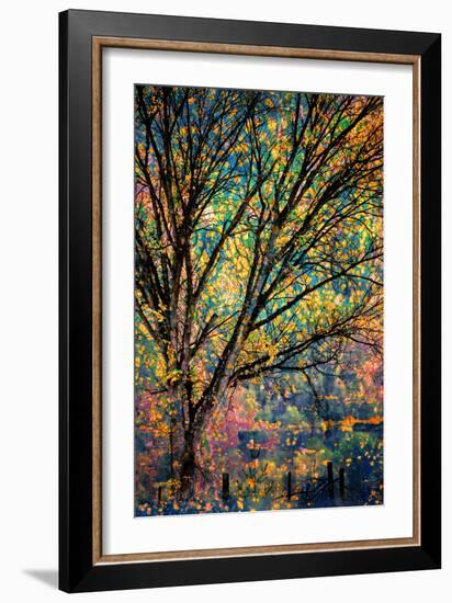 Kootenay Fall 3-Ursula Abresch-Framed Photographic Print