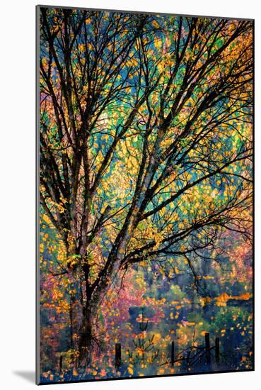 Kootenay Fall 3-Ursula Abresch-Mounted Photographic Print