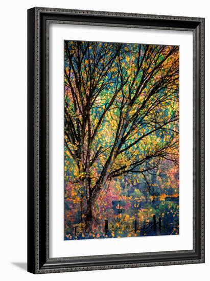 Kootenay Fall 3-Ursula Abresch-Framed Photographic Print