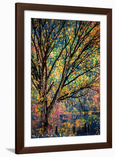 Kootenay Fall 3-Ursula Abresch-Framed Photographic Print