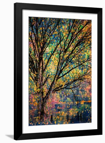 Kootenay Fall 3-Ursula Abresch-Framed Photographic Print