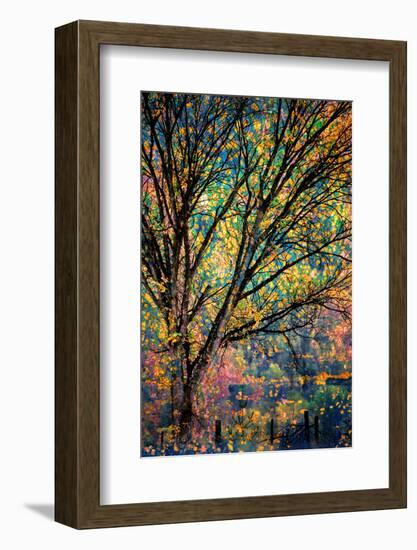 Kootenay Fall 3-Ursula Abresch-Framed Premium Photographic Print