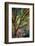 Kootenay Fall 3-Ursula Abresch-Framed Photographic Print