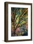 Kootenay Fall 3-Ursula Abresch-Framed Photographic Print