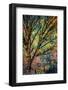 Kootenay Fall 3-Ursula Abresch-Framed Photographic Print