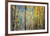 Kootenay Fall 4-Ursula Abresch-Framed Photographic Print