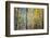 Kootenay Fall 4-Ursula Abresch-Framed Photographic Print