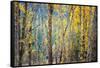 Kootenay Fall 4-Ursula Abresch-Framed Stretched Canvas