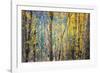 Kootenay Fall 4-Ursula Abresch-Framed Photographic Print