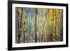 Kootenay Fall 4-Ursula Abresch-Framed Photographic Print