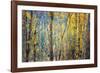 Kootenay Fall 4-Ursula Abresch-Framed Photographic Print