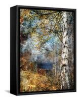 Kootenay Fall-Ursula Abresch-Framed Stretched Canvas