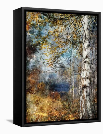 Kootenay Fall-Ursula Abresch-Framed Stretched Canvas