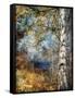 Kootenay Fall-Ursula Abresch-Framed Stretched Canvas