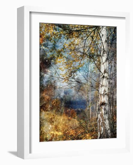 Kootenay Fall-Ursula Abresch-Framed Photographic Print