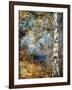 Kootenay Fall-Ursula Abresch-Framed Photographic Print