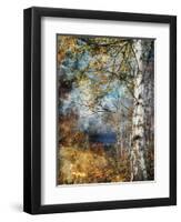 Kootenay Fall-Ursula Abresch-Framed Photographic Print