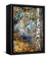 Kootenay Fall-Ursula Abresch-Framed Stretched Canvas