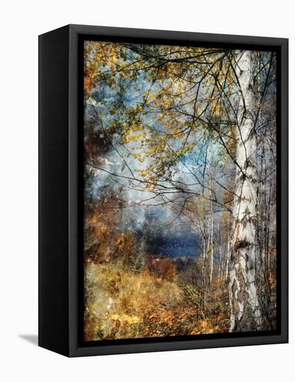 Kootenay Fall-Ursula Abresch-Framed Stretched Canvas
