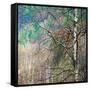 Kootenay Spring-Ursula Abresch-Framed Stretched Canvas