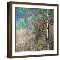 Kootenay Spring-Ursula Abresch-Framed Photographic Print