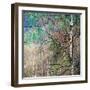 Kootenay Spring-Ursula Abresch-Framed Photographic Print