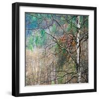 Kootenay Spring-Ursula Abresch-Framed Photographic Print