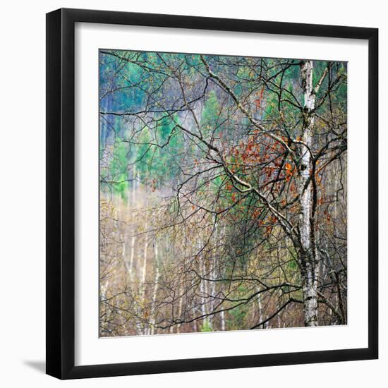 Kootenay Spring-Ursula Abresch-Framed Photographic Print