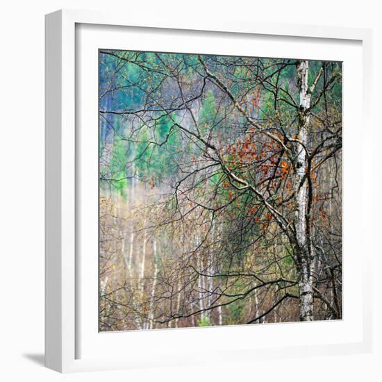 Kootenay Spring-Ursula Abresch-Framed Photographic Print