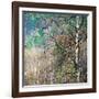 Kootenay Spring-Ursula Abresch-Framed Photographic Print