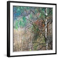 Kootenay Spring-Ursula Abresch-Framed Photographic Print