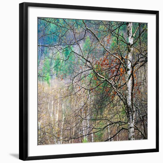 Kootenay Spring-Ursula Abresch-Framed Photographic Print