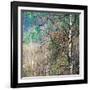 Kootenay Spring-Ursula Abresch-Framed Photographic Print