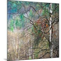 Kootenay Spring-Ursula Abresch-Mounted Photographic Print