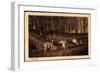 Kopenhagen Dänemark, Wildpark, Hirsche, Rehe Und Andere Huftiere-null-Framed Giclee Print