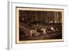 Kopenhagen Dänemark, Wildpark, Hirsche, Rehe Und Andere Huftiere-null-Framed Giclee Print