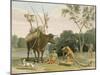 Korah Hottentots Preparing to Remove, Plate 20 from 'African Scenery and Animals'-Samuel Daniell-Mounted Giclee Print
