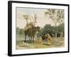 Korah Hottentots Preparing to Remove, Plate 20 from 'African Scenery and Animals'-Samuel Daniell-Framed Giclee Print