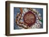 Koran cover and prayer beads, Lyon, Rhone, France-Godong-Framed Photographic Print