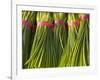 Korea, Gyeongsangnam-Do, BUSAn, Jalgalchi Market-Jane Sweeney-Framed Photographic Print