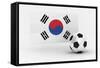 Korea Republic Soccer-badboo-Framed Stretched Canvas