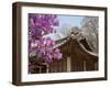 Korea, Seoul, Changdeokgung Palace, Cherry Blossom at Changgyeongggung Palace-Jane Sweeney-Framed Photographic Print