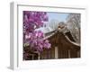 Korea, Seoul, Changdeokgung Palace, Cherry Blossom at Changgyeongggung Palace-Jane Sweeney-Framed Photographic Print