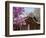 Korea, Seoul, Changdeokgung Palace, Cherry Blossom at Changgyeongggung Palace-Jane Sweeney-Framed Photographic Print