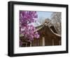 Korea, Seoul, Changdeokgung Palace, Cherry Blossom at Changgyeongggung Palace-Jane Sweeney-Framed Photographic Print