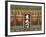 Korea, Seoul, Changdeokgung Palace,-Jane Sweeney-Framed Photographic Print