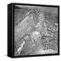 Korean War: Bloody Ridge-null-Framed Stretched Canvas