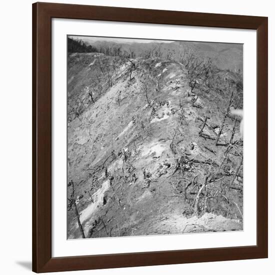 Korean War: Bloody Ridge-null-Framed Photographic Print