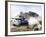 Korean War: Tank, 1951-null-Framed Photographic Print