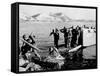 Korean War U.S. Land at Pohang-Associated Press-Framed Stretched Canvas